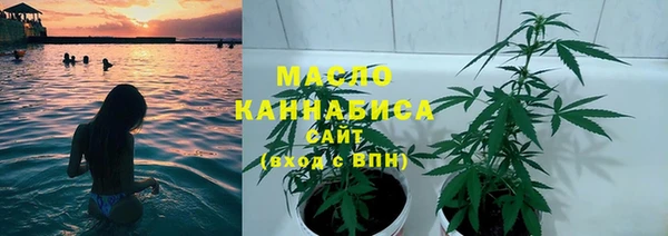 гашик Аркадак
