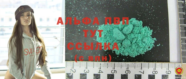гашик Аркадак