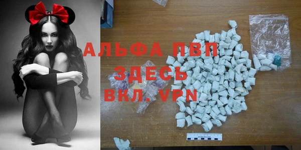 меф Арсеньев