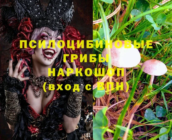 гашик Аркадак